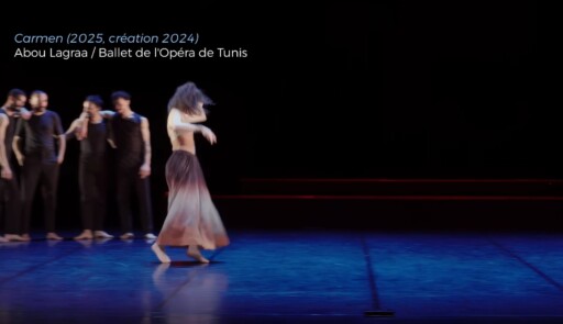 Miniature de la vidéo Carmen